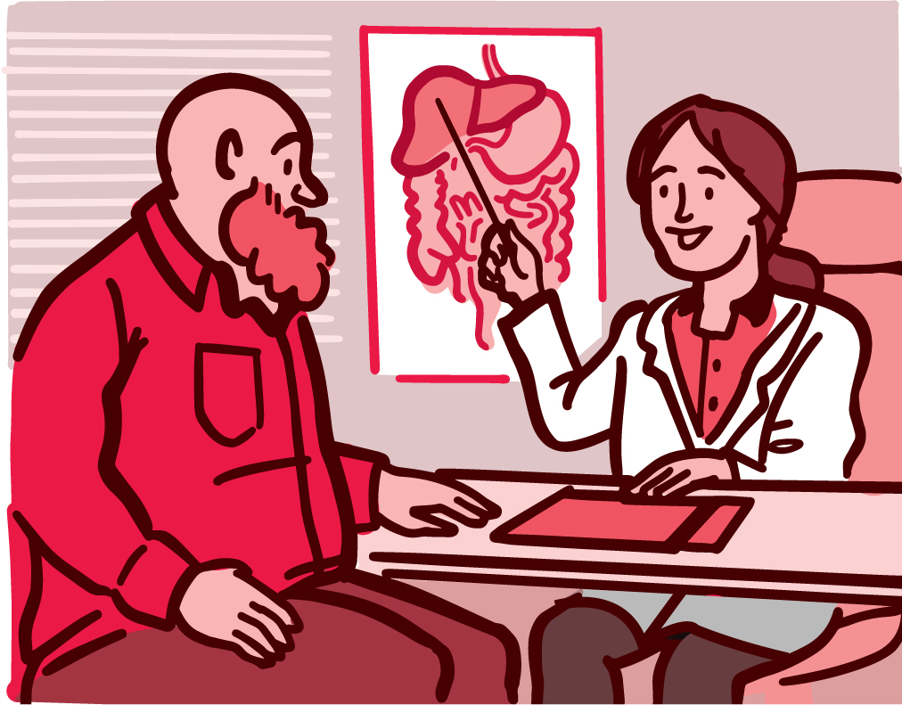 Illustration of a doctor showing their patient a diagram of the liver