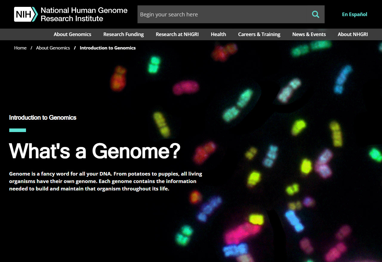 Screenshot of the What’s a Genome website.