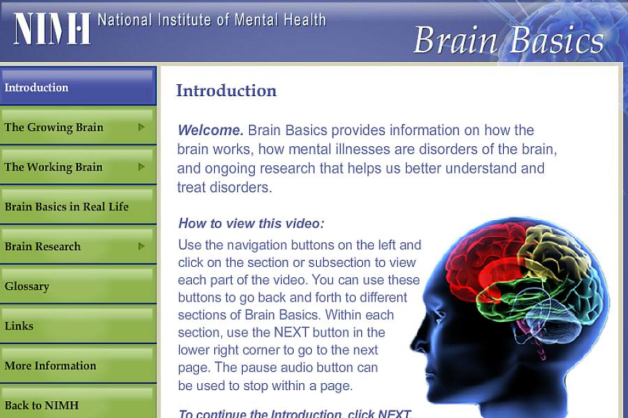 Screen capture of the homepage for Brain Basics.