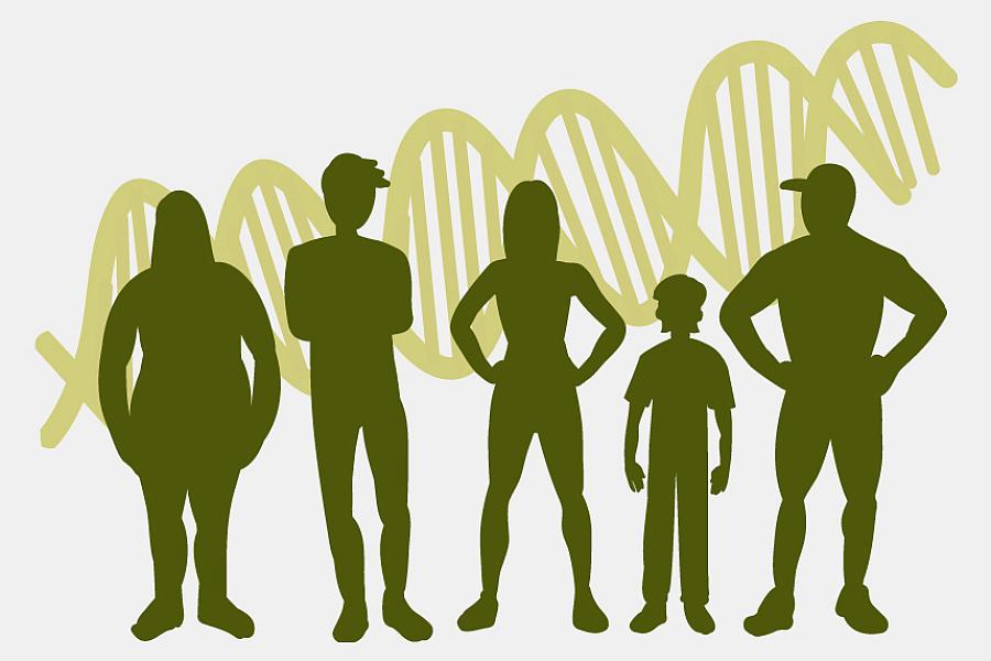 Illustration of human silhouettes, of different sizes and shapes, atop a background of the DNA double-helix.