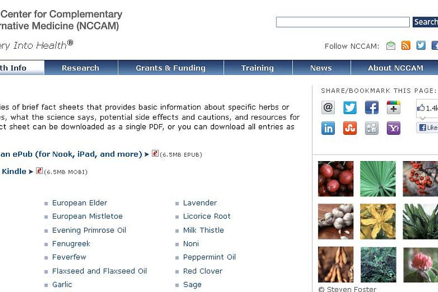 Screen capture of the homepage for Herbs at a Glance.