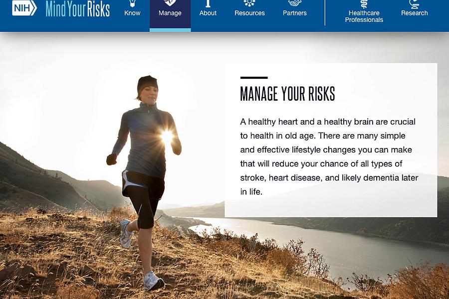 Screen capture of the homepage for Mind Your Risks.