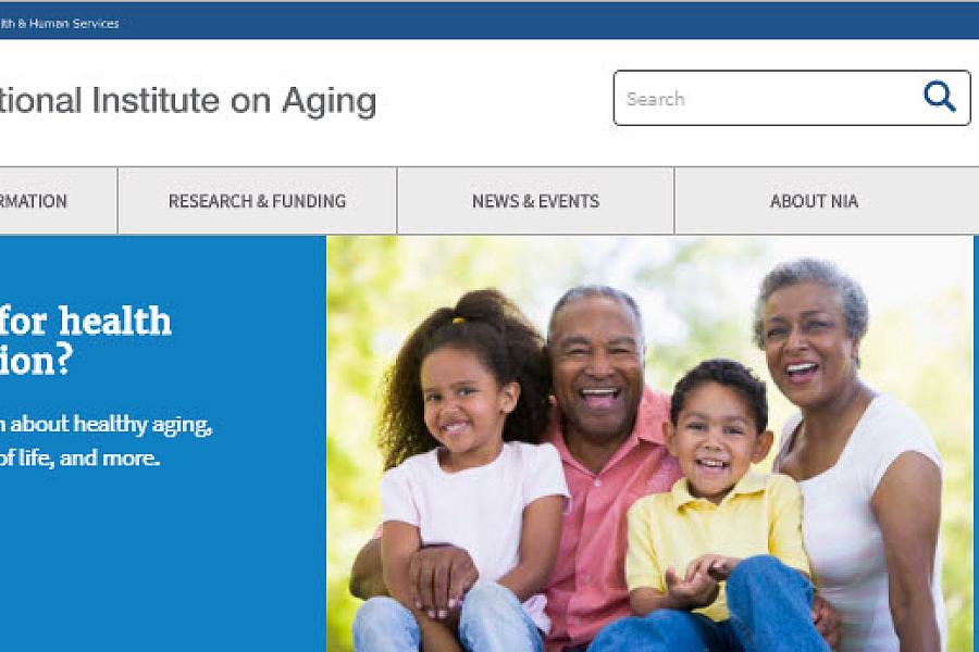 Screenshot of the aging information website.