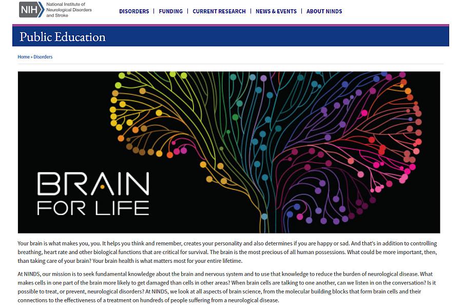 Screenshot of the Brain for Life Website